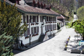 Отель Gasthaus Steinbock Hotel Garni, Вильдерсвиль